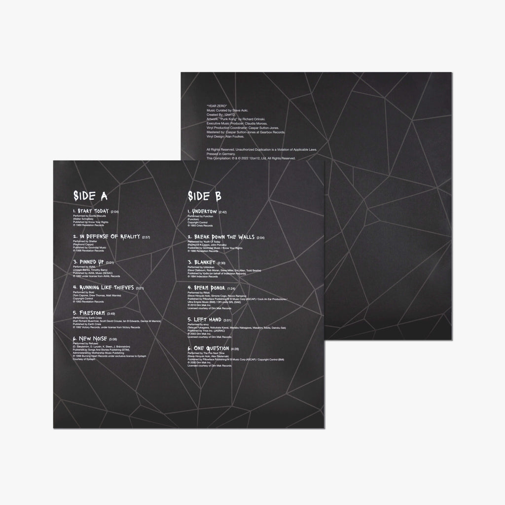 12on12 Steve Aoki x Richard Orlinski Vinyl Record Inner Sleeve
